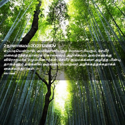Picture 02 - 2 நாளாகமம் 20:23 TAMIRV - எப்படியென்றால், - Bible Verse Picture