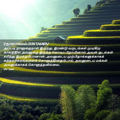 Picture 02 - 2 நாளாகமம் 21:19 TAMIRV - அப்படி - Bible Verse Picture
