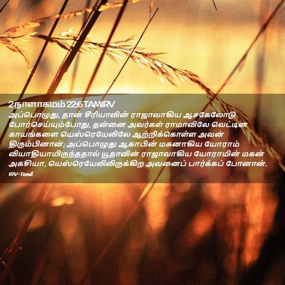 Picture 02 - 2 நாளாகமம் 22:6 TAMIRV - அப்பொழுது, தான் - Bible Verse Picture