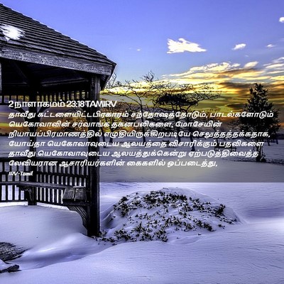 Picture 02 - 2 நாளாகமம் 23:18 TAMIRV - தாவீது - Bible Verse Picture