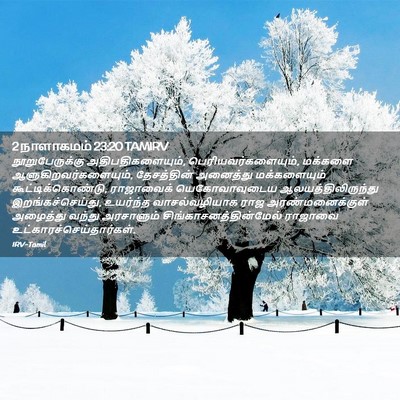 Picture 02 - 2 நாளாகமம் 23:20 TAMIRV - நூறுபேருக்கு - Bible Verse Picture