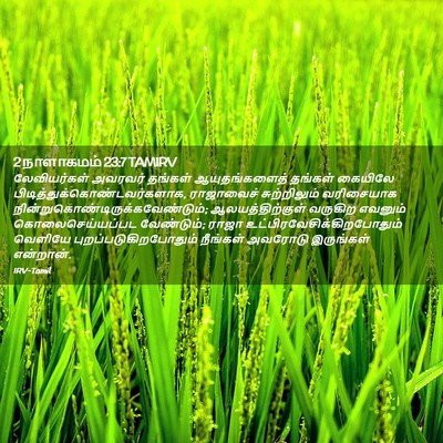 Picture 02 - 2 நாளாகமம் 23:7 TAMIRV - லேவியர்கள் அவரவர் - Bible Verse Picture