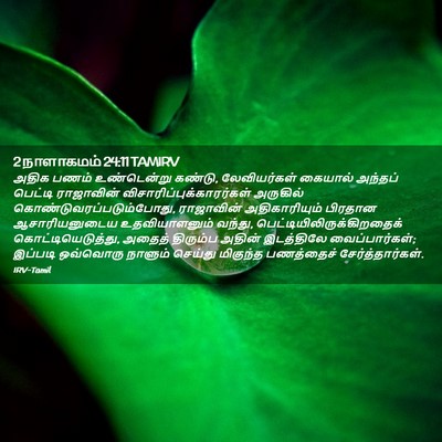 Picture 02 - 2 நாளாகமம் 24:11 TAMIRV - அதிக பணம் - Bible Verse Picture