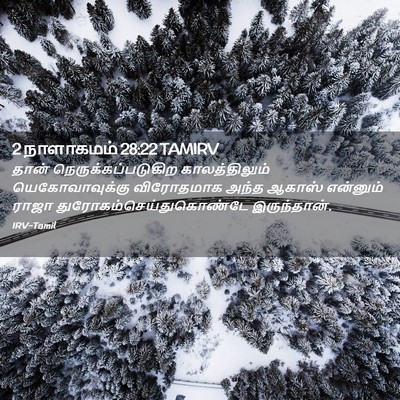 Picture 02 - 2 நாளாகமம் 28:22 TAMIRV - தான் - Bible Verse Picture