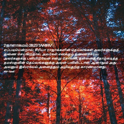Picture 02 - 2 நாளாகமம் 28:23 TAMIRV - எப்படியென்றால்: - Bible Verse Picture