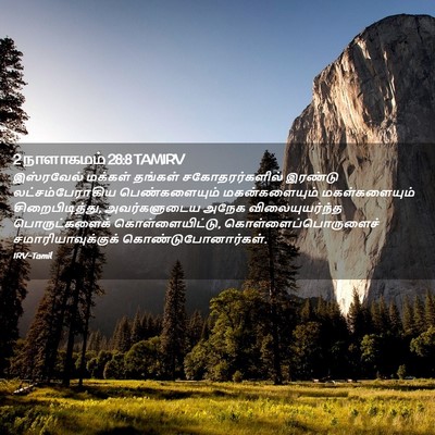 Picture 02 - 2 நாளாகமம் 28:8 TAMIRV - இஸ்ரவேல் மக்கள் - Bible Verse Picture