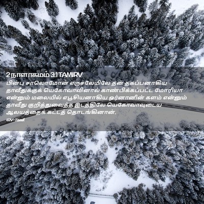 Picture 02 - 2 நாளாகமம் 3:1 TAMIRV - பின்பு சாலொமோன் - Bible Verse Picture