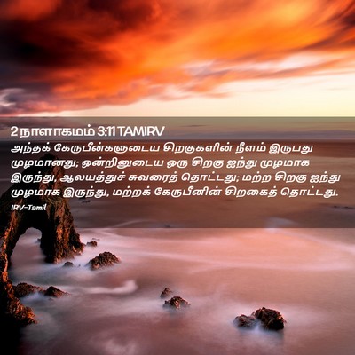 Picture 02 - 2 நாளாகமம் 3:11 TAMIRV - அந்தக் - Bible Verse Picture