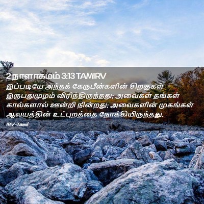 Picture 02 - 2 நாளாகமம் 3:13 TAMIRV - இப்படியே அந்தக் - Bible Verse Picture