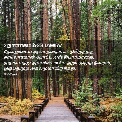 Picture 02 - 2 நாளாகமம் 3:3 TAMIRV - தேவனுடைய - Bible Verse Picture