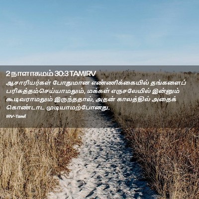 Picture 02 - 2 நாளாகமம் 30:3 TAMIRV - ஆசாரியர்கள் - Bible Verse Picture