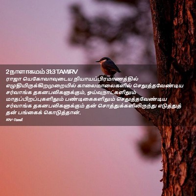 Picture 02 - 2 நாளாகமம் 31:3 TAMIRV - ராஜா யெகோவாவுடைய - Bible Verse Picture
