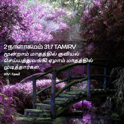 Picture 02 - 2 நாளாகமம் 31:7 TAMIRV - மூன்றாம் - Bible Verse Picture
