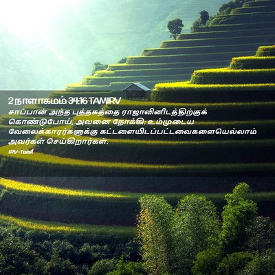 Picture 02 - 2 நாளாகமம் 34:16 TAMIRV - சாப்பான் அந்த - Bible Verse Picture