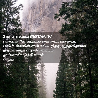 Picture 02 - 2 நாளாகமம் 34:5 TAMIRV - பூசாரிகளின் - Bible Verse Picture