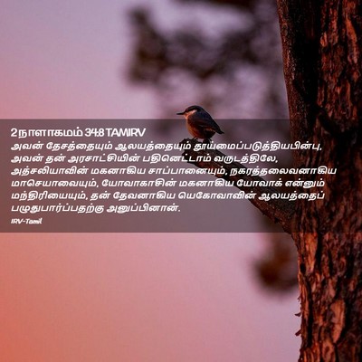 Picture 02 - 2 நாளாகமம் 34:8 TAMIRV - அவன் தேசத்தையும் - Bible Verse Picture