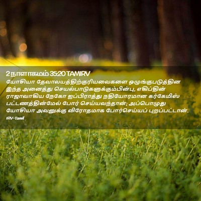 Picture 02 - 2 நாளாகமம் 35:20 TAMIRV - யோசியா - Bible Verse Picture
