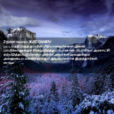 Picture 02 - 2 நாளாகமம் 36:20 TAMIRV - பட்டயத்திற்குத் - Bible Verse Picture