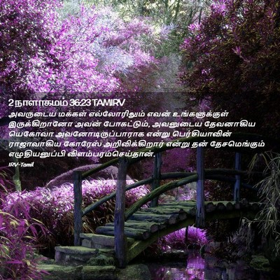 Picture 02 - 2 நாளாகமம் 36:23 TAMIRV - அவருடைய மக்கள் - Bible Verse Picture