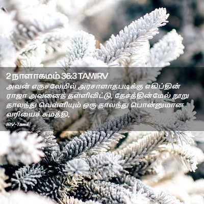 Picture 02 - 2 நாளாகமம் 36:3 TAMIRV - அவன் எருசலேமில் - Bible Verse Picture