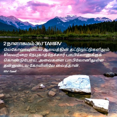 Picture 02 - 2 நாளாகமம் 36:7 TAMIRV - யெகோவாவுடைய - Bible Verse Picture