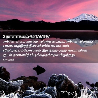 Picture 02 - 2 நாளாகமம் 4:5 TAMIRV - அதின் கனம் நான்கு - Bible Verse Picture