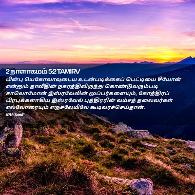 Picture 02 - 2 நாளாகமம் 5:2 TAMIRV - பின்பு - Bible Verse Picture