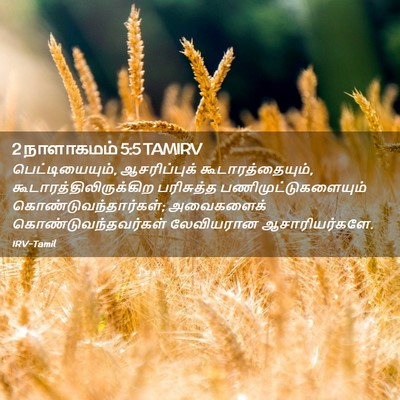 Picture 02 - 2 நாளாகமம் 5:5 TAMIRV - பெட்டியையும், - Bible Verse Picture