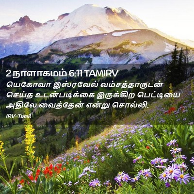 Picture 02 - 2 நாளாகமம் 6:11 TAMIRV - யெகோவா இஸ்ரவேல் - Bible Verse Picture