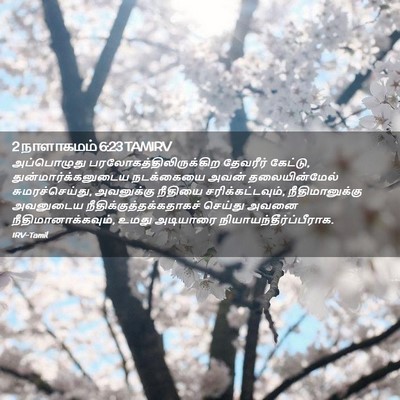 Picture 02 - 2 நாளாகமம் 6:23 TAMIRV - அப்பொழுது - Bible Verse Picture