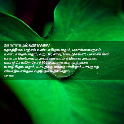 Picture 02 - 2 நாளாகமம் 6:28 TAMIRV - தேசத்திலே பஞ்சம் - Bible Verse Picture