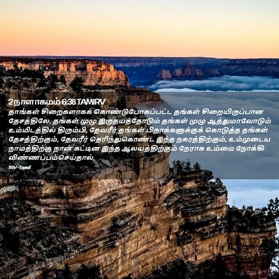 Picture 02 - 2 நாளாகமம் 6:38 TAMIRV - தாங்கள் - Bible Verse Picture
