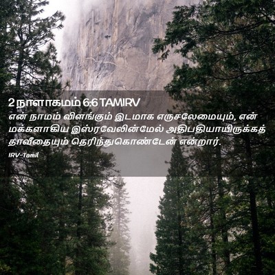 Picture 02 - 2 நாளாகமம் 6:6 TAMIRV - என் நாமம் - Bible Verse Picture