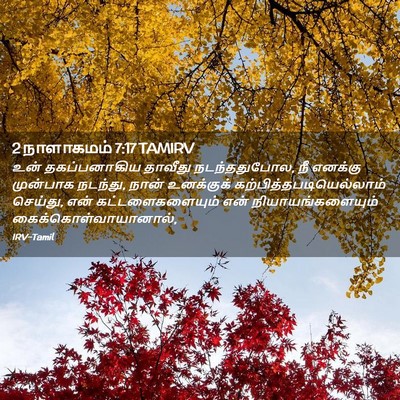 Picture 02 - 2 நாளாகமம் 7:17 TAMIRV - உன் தகப்பனாகிய - Bible Verse Picture