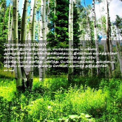 Picture 02 - 2 நாளாகமம் 7:3 TAMIRV - அக்கினி - Bible Verse Picture