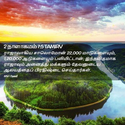 Picture 02 - 2 நாளாகமம் 7:5 TAMIRV - ராஜாவாகிய - Bible Verse Picture
