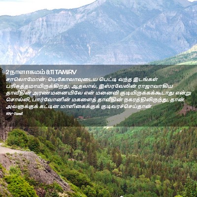 Picture 02 - 2 நாளாகமம் 8:11 TAMIRV - சாலொமோன்: - Bible Verse Picture