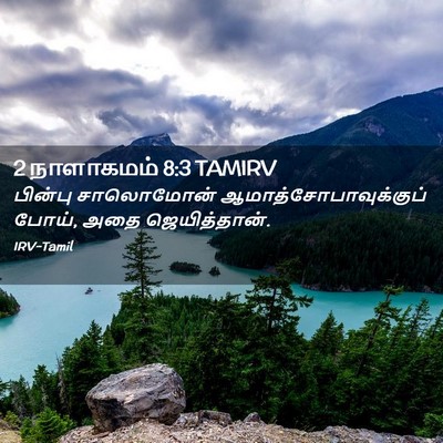Picture 02 - 2 நாளாகமம் 8:3 TAMIRV - பின்பு சாலொமோன் - Bible Verse Picture