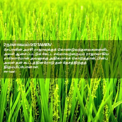 Picture 02 - 2 நாளாகமம் 9:12 TAMIRV - சேபாவின் அரசி - Bible Verse Picture