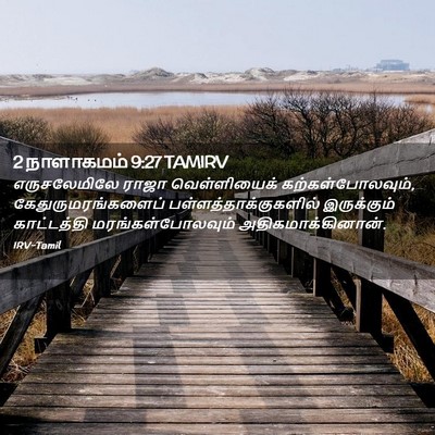 Picture 02 - 2 நாளாகமம் 9:27 TAMIRV - எருசலேமிலே ராஜா - Bible Verse Picture