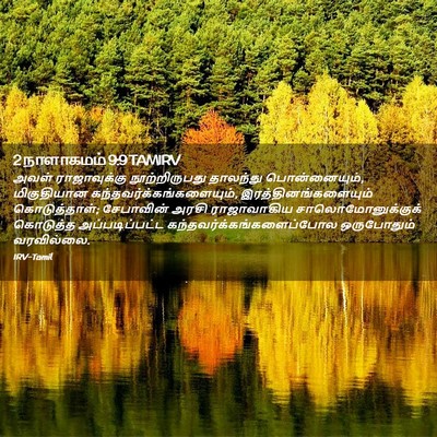 Picture 02 - 2 நாளாகமம் 9:9 TAMIRV - அவள் ராஜாவுக்கு - Bible Verse Picture