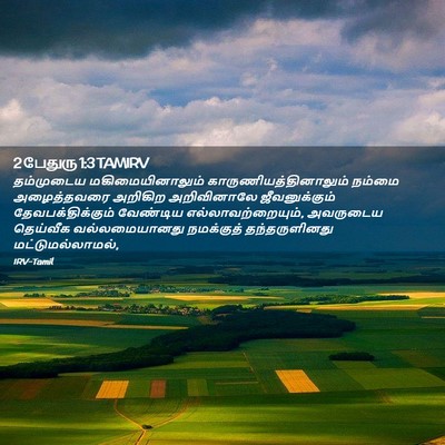 Picture 02 - 2 பேதுரு 1:3 TAMIRV - தம்முடைய - Bible Verse Picture