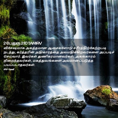 Picture 02 - 2 பேதுரு 2:10 TAMIRV - விசேஷமாக - Bible Verse Picture