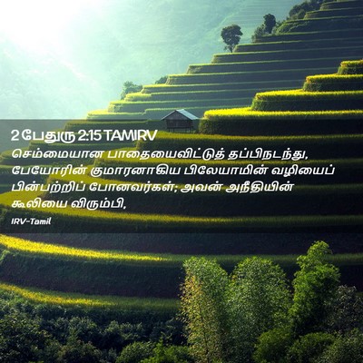 Picture 02 - 2 பேதுரு 2:15 TAMIRV - செம்மையான - Bible Verse Picture