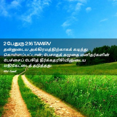 Picture 02 - 2 பேதுரு 2:16 TAMIRV - தன்னுடைய - Bible Verse Picture