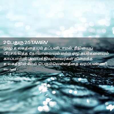 Picture 02 - 2 பேதுரு 2:5 TAMIRV - முழு உலகத்தையும் - Bible Verse Picture