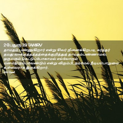 Picture 02 - 2 பேதுரு 3:9 TAMIRV - தாமதம் - Bible Verse Picture