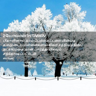 Picture 02 - 2 யோவான் 1:4 TAMIRV - பிதாவினால் நாம் - Bible Verse Picture