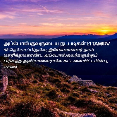 Picture 02 - அப்போஸ்தலருடைய நடபடிகள் 1:1 TAMIRV - 48 தெயோப்பிலுவே, - Bible Verse Picture