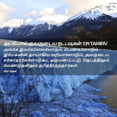 Picture 02 - அப்போஸ்தலருடைய நடபடிகள் 1:14 TAMIRV - அங்கே - Bible Verse Picture